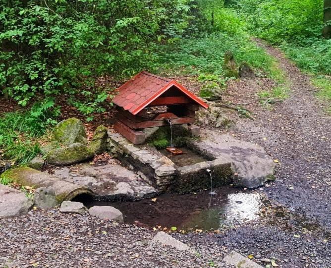 Вилла Chaloupky U Matusku Варнсдорф Экстерьер фото